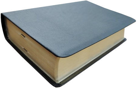 Standardbibel, Leder, schwarz, Goldschnitt mit Notizseiten, 15,7 x 23,0 x 5,5 cm