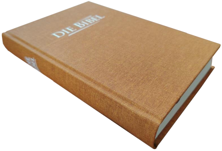 *Taschenbibel, Leinen, ocker, 13 x 18,3 x 2,9 cm