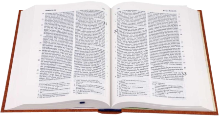 *Taschenbibel, Leinen, ocker, 13 x 18,3 x 2,9 cm