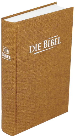 *Taschenbibel, Leinen, ocker, 13 x 18,3 x 2,9 cm