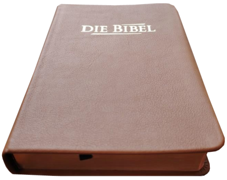 Taschenbibel, Rindleder hellbraun, Rotgoldschnitt, 13 x 18,3 x 2,9 cm