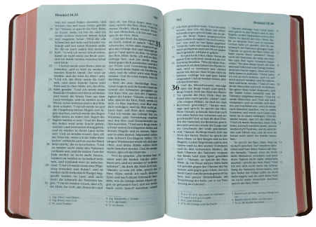 Taschenbibel, Rindleder hellbraun, Rotgoldschnitt, 13 x 18,3 x 2,9 cm
