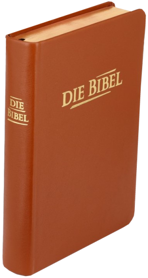 Taschenbibel, Rindleder hellbraun, Rotgoldschnitt, 13 x 18,3 x 2,9 cm