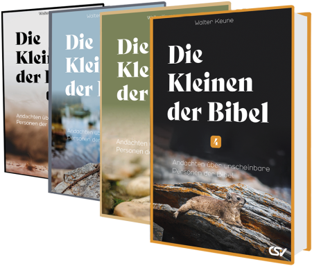 *PAKET: Die Kleinen der Bibel, Band 1-4