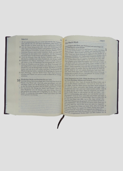 Lesebibel für Sehbehinderte, blau