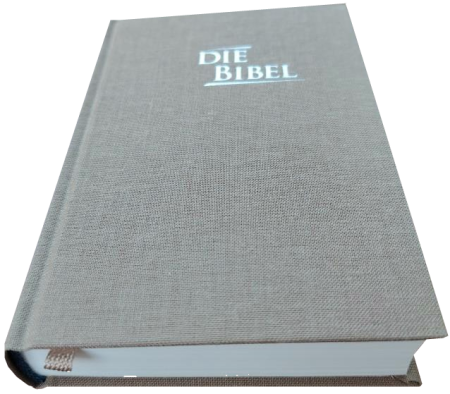 *Pocketbibel, Leinen, sandbraun, 9,5 x 14,0 x 2,3 cm
