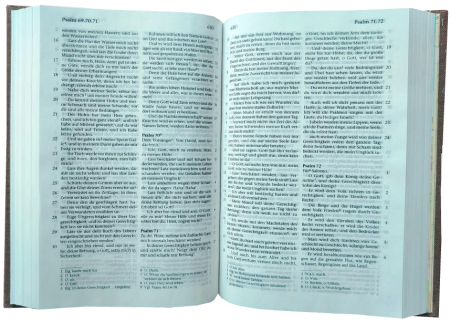 *Pocketbibel, Leinen, sandbraun – beschädigtes Exemplar