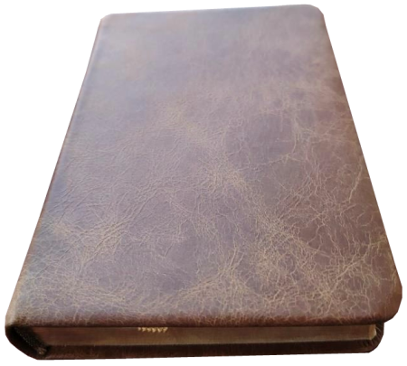 *Pocketbibel, Leder Toffee, hellbraun, Goldschnitt,  9,5 x 14,0 x 2,3 cm