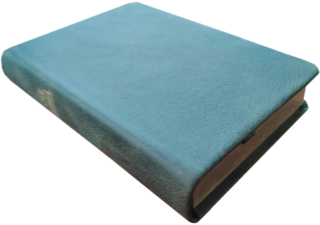 *Pocketbibel, Leder Olive, dunkelgrün, Goldschnitt,  9,5 x 14,0 x 2,3 cm