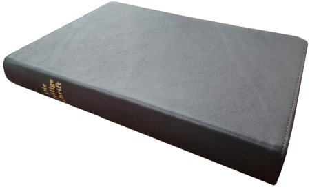 Standardbibel, Leder, dunkelbraun, Rotgoldschnitt, 14,9 x 22,5 x 2,8 cm
