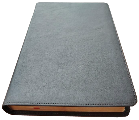 Standardbibel, Leder, dunkelbraun, Rotgoldschnitt, 14,9 x 22,5 x 2,8 cm