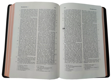 Standardbibel, Leder, dunkelbraun, Rotgoldschnitt, 14,9 x 22,5 x 2,8 cm