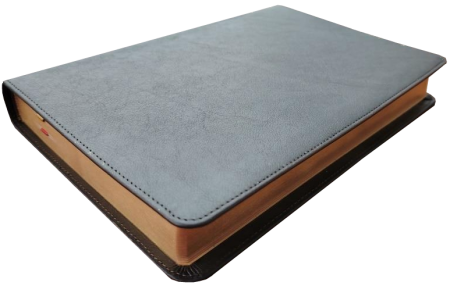 Standardbibel, Leder, dunkelbraun, Rotgoldschnitt, 14,9 x 22,5 x 2,8 cm