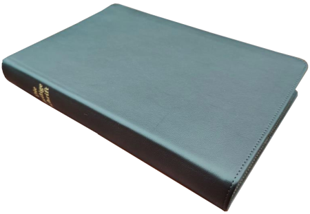 Standardbibel, Leder, dunkelbraun mit Griffregister, 14,9 x 22,5 x 2,8 cm