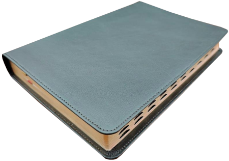 Standardbibel, Leder, dunkelbraun mit Griffregister, 14,9 x 22,5 x 2,8 cm