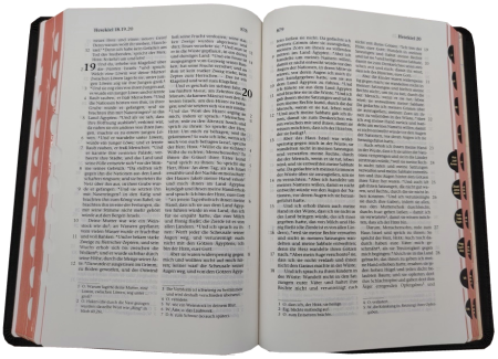 Standardbibel, Leder, dunkelbraun mit Griffregister, 14,9 x 22,5 x 2,8 cm