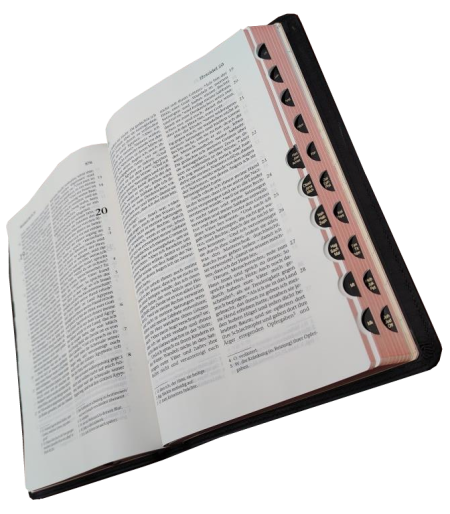 Standardbibel, Leder, dunkelbraun mit Griffregister, 14,9 x 22,5 x 2,8 cm
