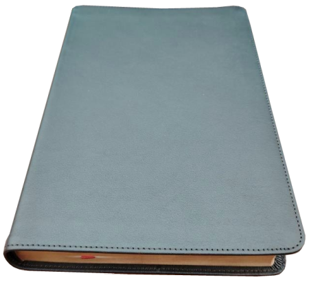 Standardbibel, Leder, dunkelbraun mit Griffregister, 14,9 x 22,5 x 2,8 cm