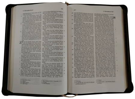 Standardbibel, Reißverschluss, Goldschnitt, braun-grau, 15,0 x 22,5 x 2,8 cm