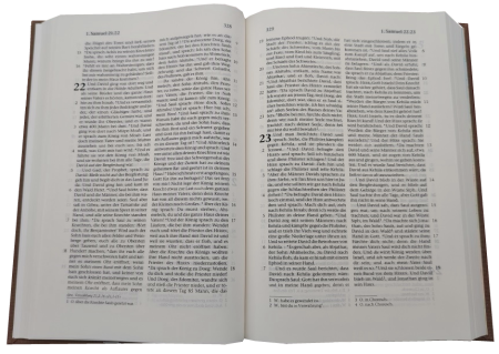 Standardbibel, Leinen, sandbraun, 14,9 x 22,5 x 2,8 cm