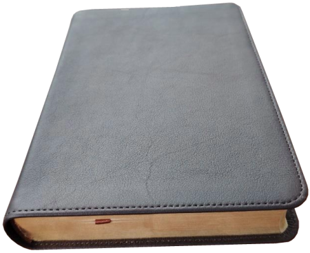 Taschenbibel, Leder, dunkelbraun, Goldschnitt, 13 x 18,3 x 2,9 cm