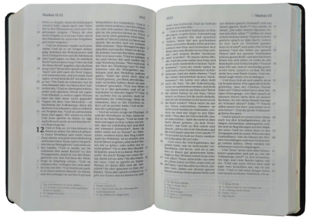 Taschenbibel, Leder, dunkelbraun, Goldschnitt, 13 x 18,3 x 2,9 cm
