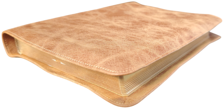 *Schreibrandbibel, groß, Leder, braun „Toffee“, Goldschnitt