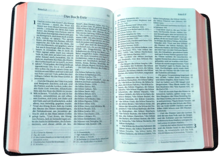*Pocketbibel, Leder Meriva, dunkelbraun, Rotgoldschnitt, 9,5 x 14,0 x 2,3 cm