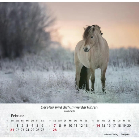 Pferdekalender 2027 mit eindrucksvollem Pferdefoto und Bibelvers