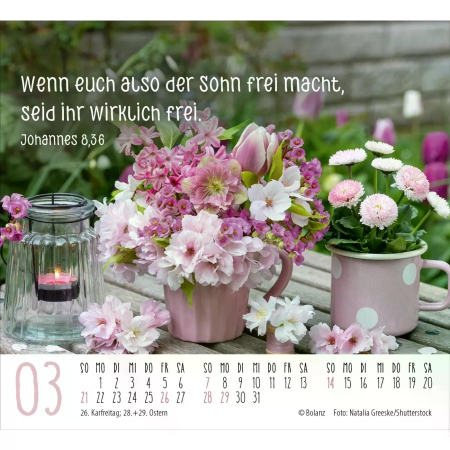 *Harmonien, Aufstellkalender 2027