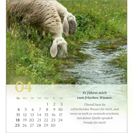 *Psalm 23, 2027