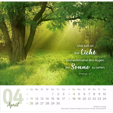 Tischkalender „Meine Zeit“ 2027 mit Bibelvers und ausdrucksstarkem Foto