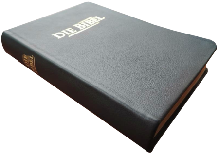 Taschenbibel, Leder, schwarz, Goldschnitt, mit Prägung „DIE BIBEL“, 13 x 18,3 x 2,9 cm
