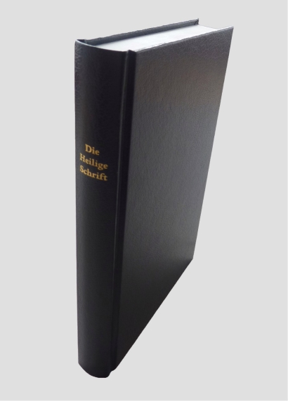 Standardbibel Kunstleder, Blindschnitt