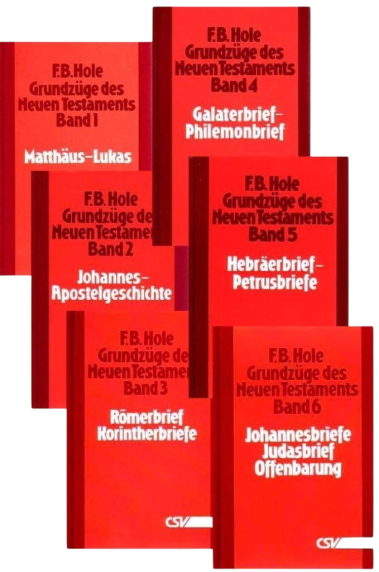 *Grundzüge des Neuen Testaments