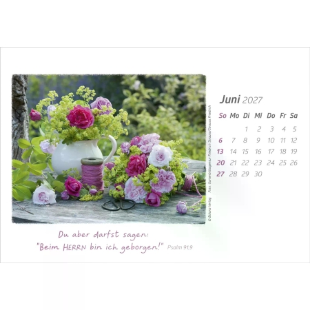 *Die Güte Gottes preisen, Tischkalender 2027