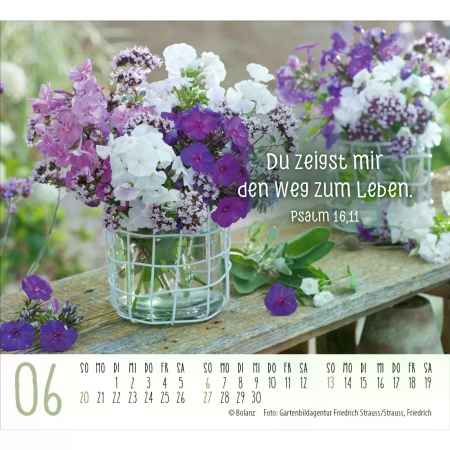 *Harmonien, Aufstellkalender 2027