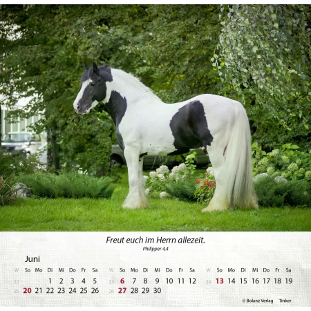 Pferdekalender 2027 mit eindrucksvollem Pferdefoto und Bibelvers