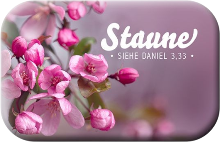 *Magnet „Staune“