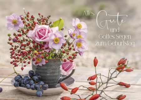 *Postkartenpäckchen „Wir feiern im Garten“