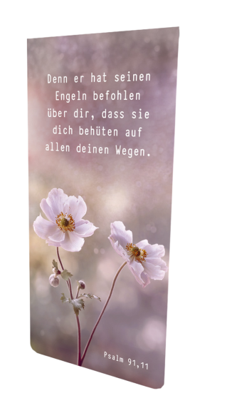 *Magnetlesezeichen