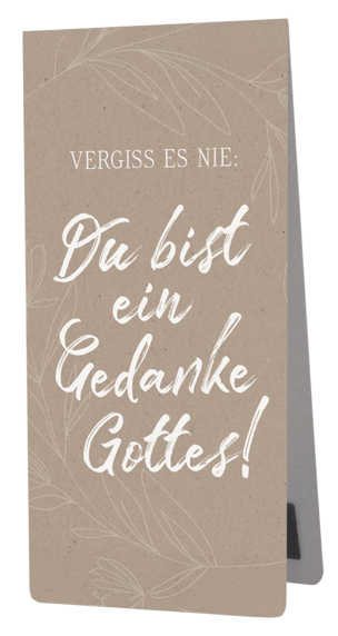 *Magnetlesezeichen