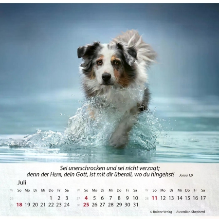 Hundekalender 2027 mit lebendigem Hundefoto und Bibelvers
