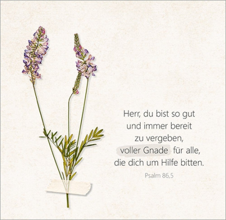 *Aufstellbuch „Unendlich geliebt“