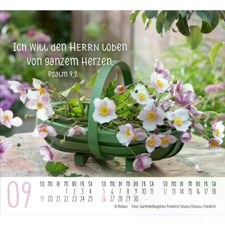 *Harmonien, Aufstellkalender 2027
