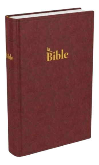 *Bibel – französisch, Blindschnitt, weinrot