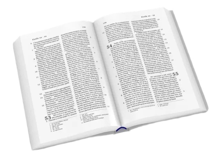 Bibel – französisch, hellgrau, biegsamer Einband