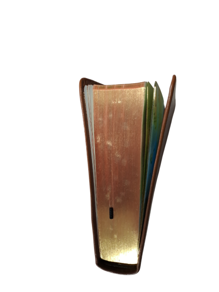 Taschenbibel, Rindleder hellbraun, Rotgoldschnitt, 13,0 x 18,5 x 2,9 cm – Goldschnitt leicht beschädigt