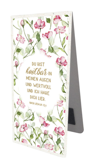 *Magnetlesezeichen