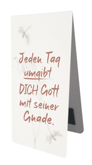 *Magnetlesezeichen